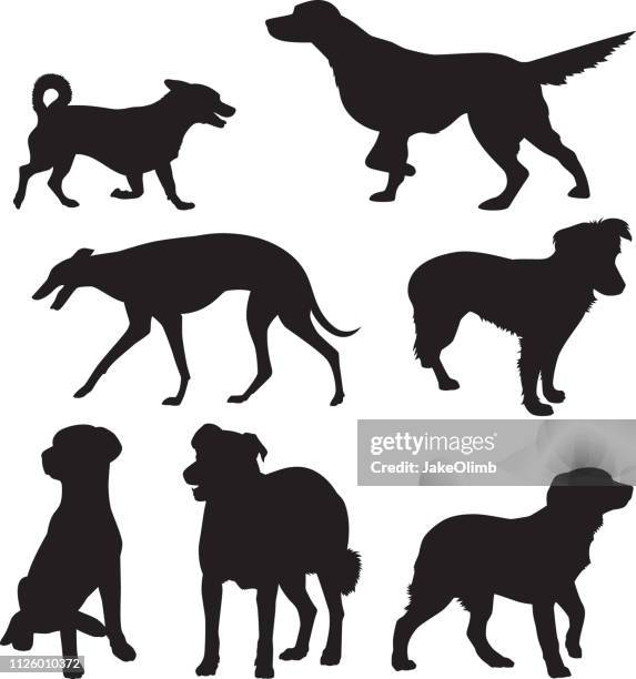 illustrations, cliparts, dessins animés et icônes de silhouettes de chien 10 - chien laisse