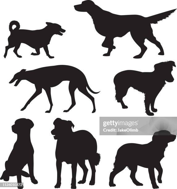ilustrações de stock, clip art, desenhos animados e ícones de dog silhouettes 10 - mixed breed dog