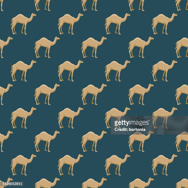 egypt seamless pattern - camel stock illustrations