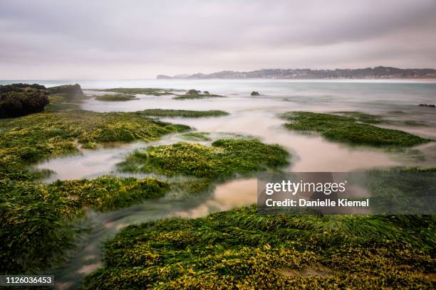 long exposure of waves over rocks at beach - central coast stock pictures, royalty-free photos & images