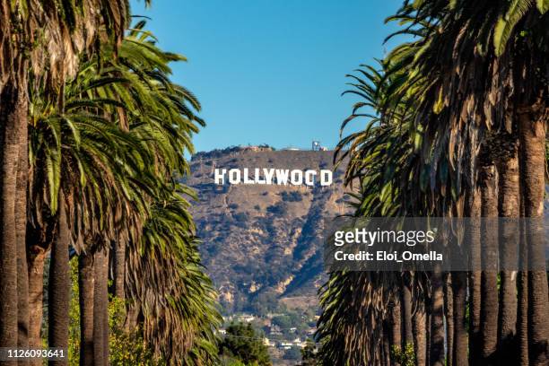 hollywood-schild aus zentralen la - hollywood california stock-fotos und bilder