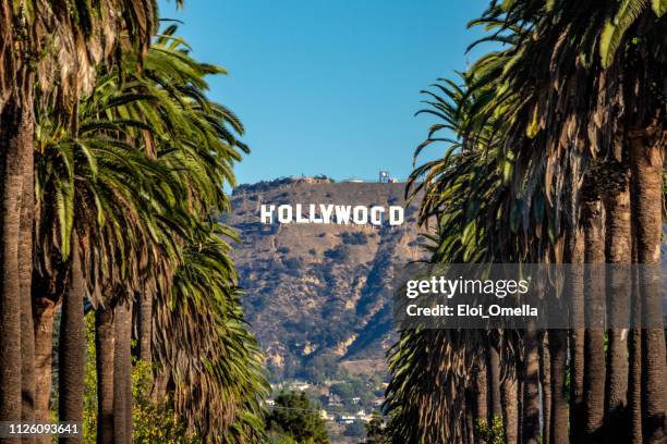 hollywood-schild aus zentralen la - verwaltungsbezirk los angeles county stock-fotos und bilder