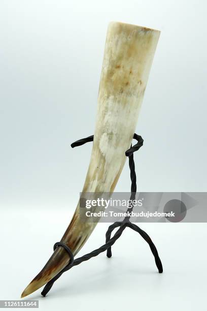 63 Trophy Rack Stock Photos, High-Res Pictures, and Images - Getty Images