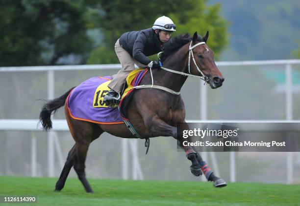 Ridden by Matthew Chadwick gallop on the turf at Sha Tin on 13Feb14.