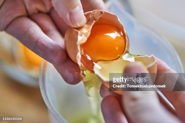egg - gema de ovo imagens e fotografias de stock