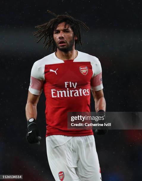 Mohamed Elneny of Arsenal during the Premier League match between Arsenal FC and Cardiff City at Emirates Stadium on January 29, 2019 in London,...