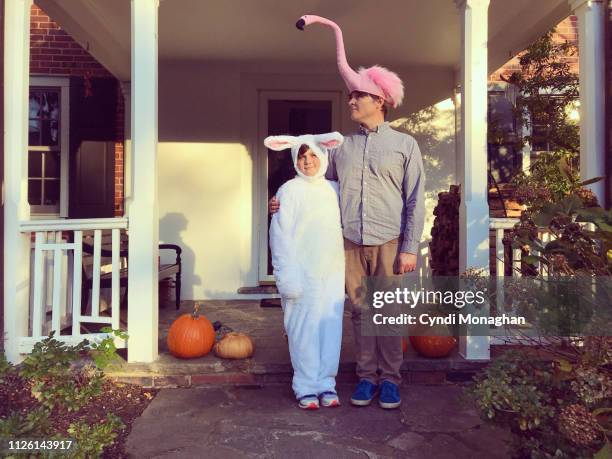 bunny rabbit and flamingo costumes - embarrassment foto e immagini stock