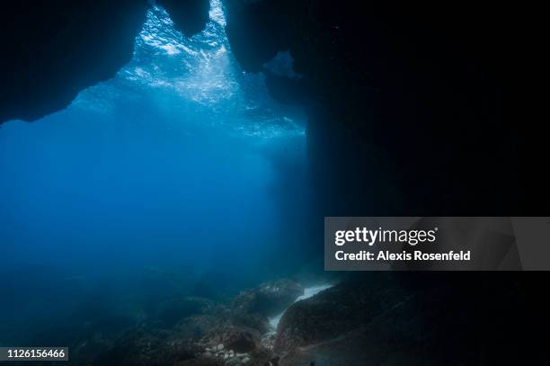 An underwater cave seen from the inside, on april 26, 2007 in Marseille, France. The Mediterranean represents a hotspot of marine biodiversity. With...