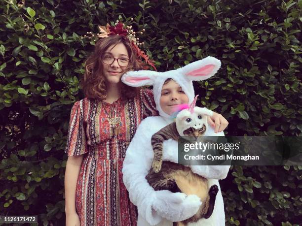 siblings and cat dressed in halloween costumes - chat rigolo photos et images de collection