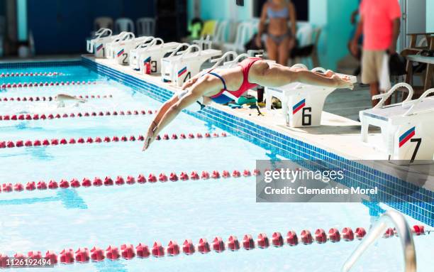 athlete diving into olympic pool - evento multiesportivo internacional - fotografias e filmes do acervo