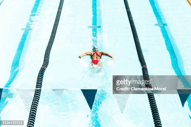 athlete swimming in olympic pool - giochi olimpici foto e immagini stock