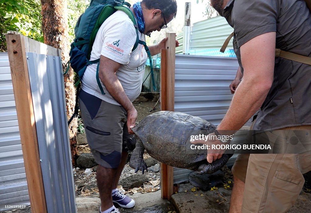 ECUADOR-GALAPAGOS-TORTOISE-DISCOVERY