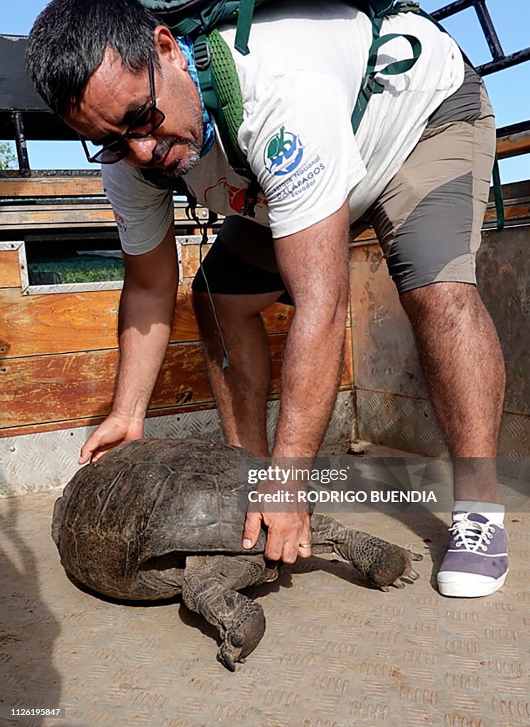 ECUADOR-GALAPAGOS-TORTOISE-DISCOVERY