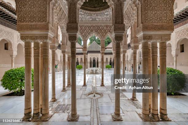 the court of the lions, alhambra palace, granada,andalusia, spain - alhambra foto e immagini stock