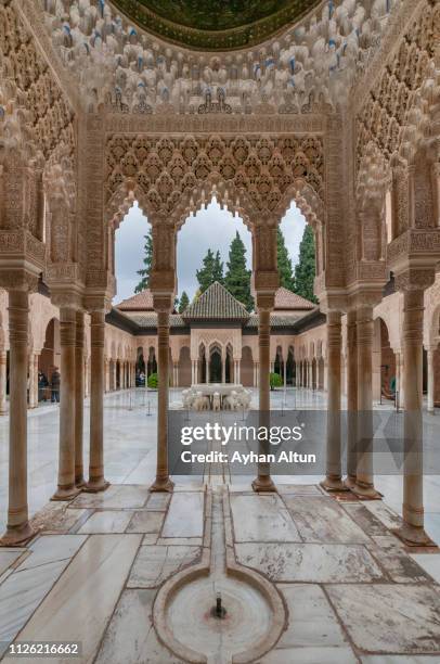 the court of the lions, alhambra palace, granada,andalusia, spain - granada stockfoto's en -beelden