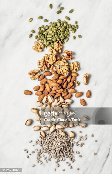 nuts and seeds - same but different stock-fotos und bilder
