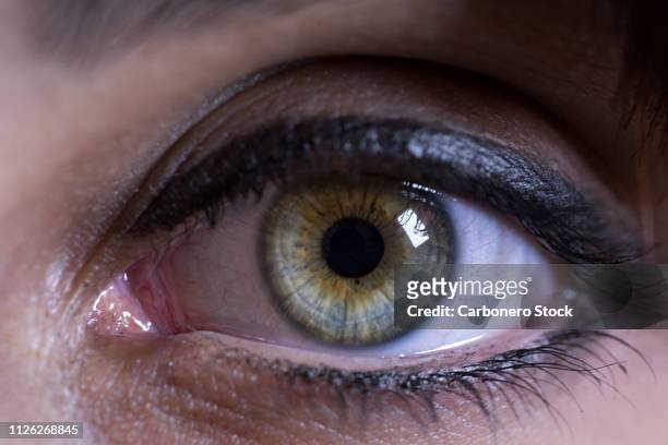 ojo verde de cerca - iris ojo stockfoto's en -beelden