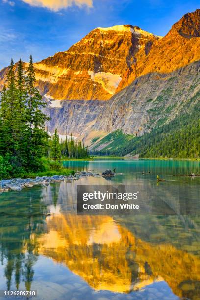 jasper national park in alberta canada - jasper national park stock pictures, royalty-free photos & images