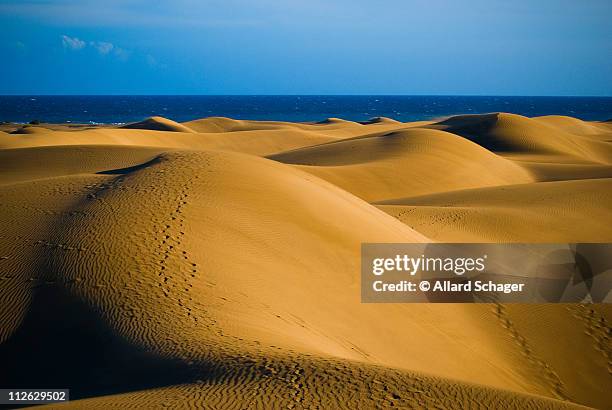 maspalomas sand dunes - maspalomas imagens e fotografias de stock