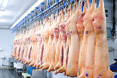The meat factory. Pork hanging on hooks. Pork carcasses in the workshop of butchers. Industrial processing of pork. Butcher