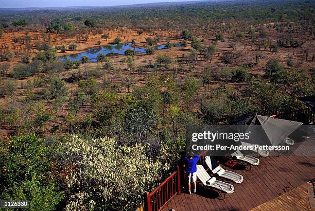 Visitor looks for animals at a water hole from the viewing point at the Safari Lodge, one of the most exclusive lodges in the area June 17, 2002 in...