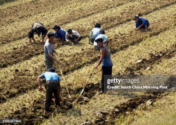 Korean Laborers Korean Peasant Photos and Premium High Res Pictures - Getty Images