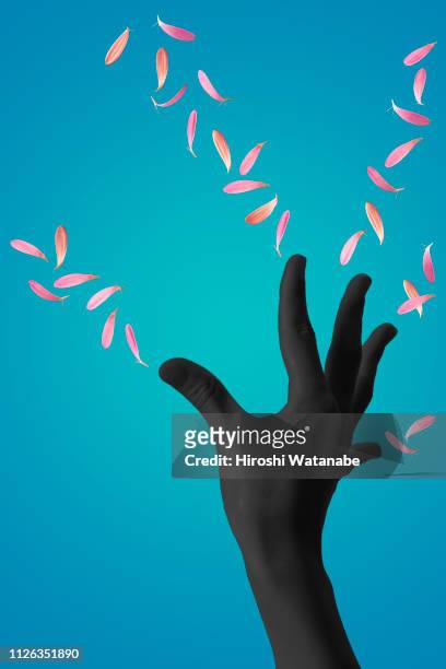 hand of shadow-woman with fluttering petals - aura stock-fotos und bilder