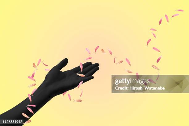 hand of shadow-woman with fluttering petals - 花びら占い ストックフォトと画像