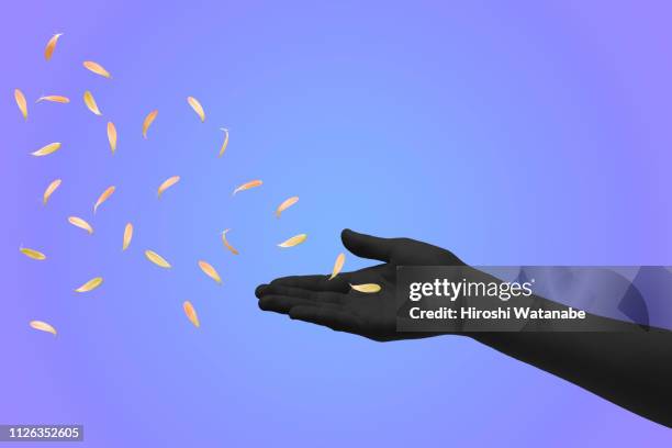 hand of shadow-woman with fluttering petals - hands share stockfoto's en -beelden