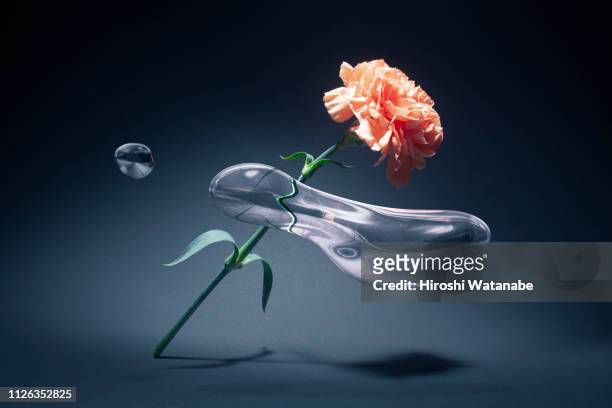 flower and water-drops in the zero-gravity space - zero gravity imagens e fotografias de stock