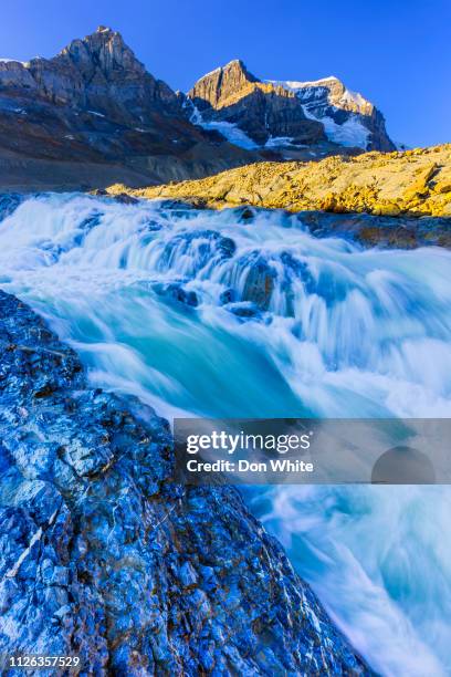 jasper national park in alberta canada - columbia icefield stock pictures, royalty-free photos & images