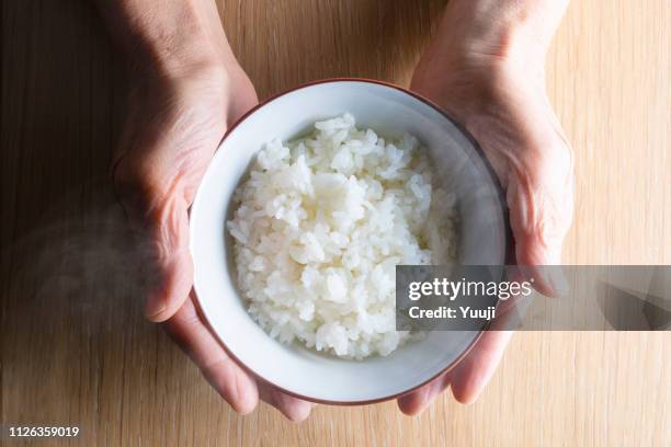 breakfast and lunch with rice and side dishes unique to japan placed on the tray. we eat with cooked rice as our staple food. - japanese culture imagens e fotografias de stock