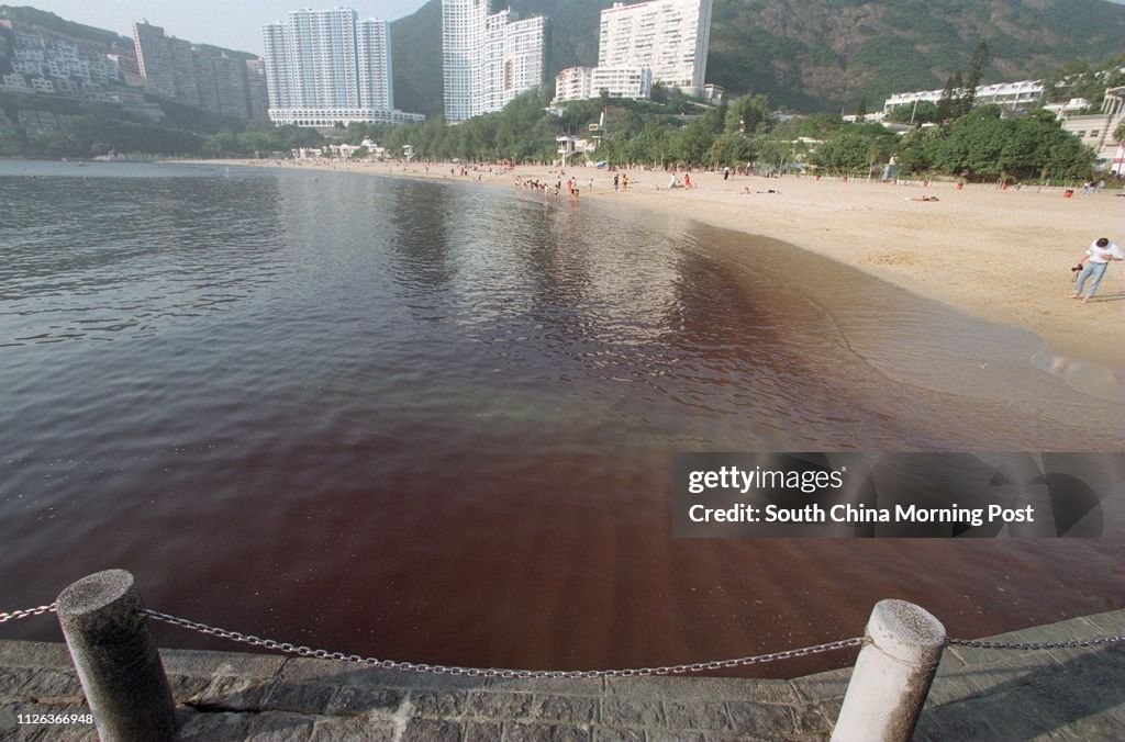 Red Tide hits at Repulse Bay Beach. scmp/dw