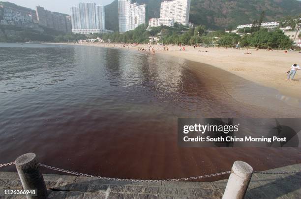 1,816 Red Tide Stock Photos, High-Res Pictures, and Images - Getty Images