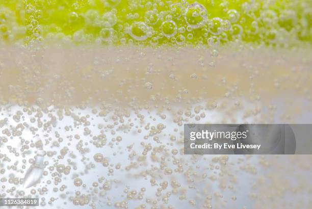 slice of lime in tonic water - carbonated water fotografías e imágenes de stock