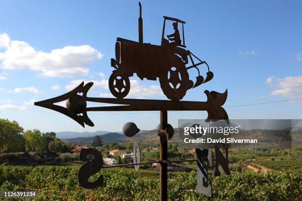 Weather-vane is seen between vineyards on October 5, 2018 in Falset in the Catalonian province of Tarragona in Spain. Falset sits at the heart of the...