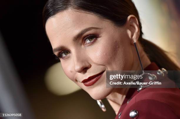 Sophia Bush attends the premiere of Columbia Pictures' 'Miss Bala' at Regal LA Live Stadium 14 on January 30, 2019 in Los Angeles, California.