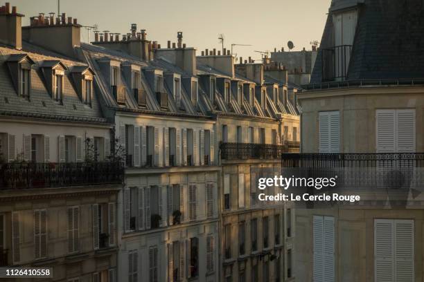 morning sun on paris buildings - matin photos et images de collection