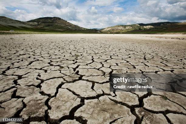 a lonely cracked earth desert floor - dry stockfoto's en -beelden