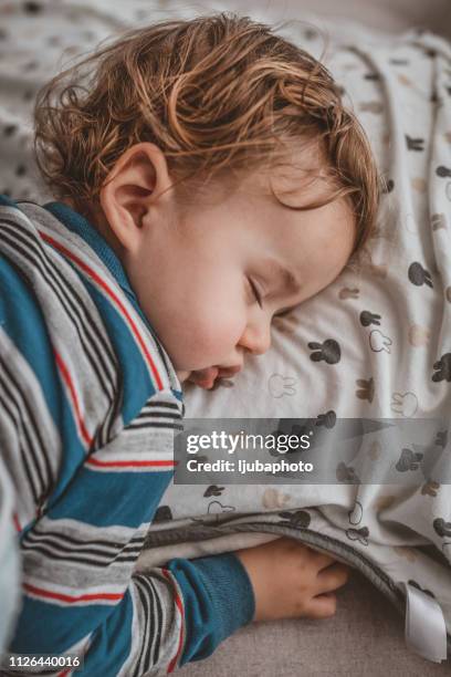he's out for the count! - toddler sleeping stock pictures, royalty-free photos & images