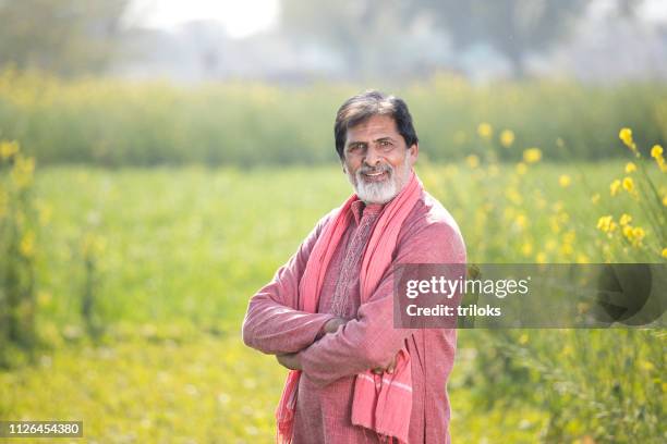 indian farmer standing in agricultural field - village harvest stock pictures, royalty-free photos & images