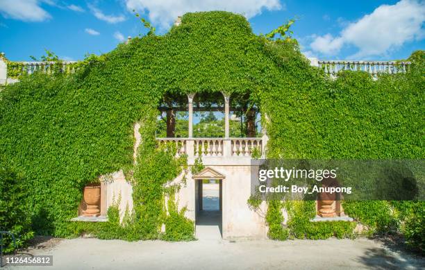 the beautiful view of medici court in italian renaissance garden of hamilton gardens an iconic famous place in hamilton, new zealand. - hamilton neuseeland stock-fotos und bilder