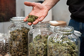 Glass jar full of Cannabis Sativa