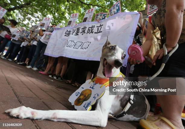 Animal rights protestors hold placard march to police headquarters from Southorn Playground to urge Police to arrest Jacky Lo who abuses a dog by...