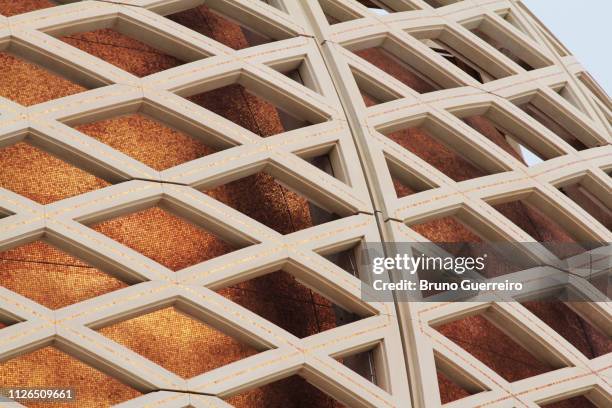 close-up of sultan qaboos grand mosque dome - grand mosque oman stock pictures, royalty-free photos & images