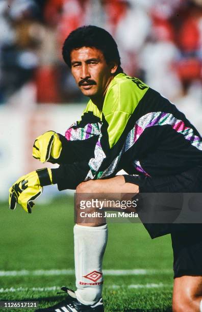 Goalkeeper Pablo Larios Iwazaki looks on during the match between Toros Neza and Morelia as part of the Torneo Verano 1995 of Mexican Futbol on...