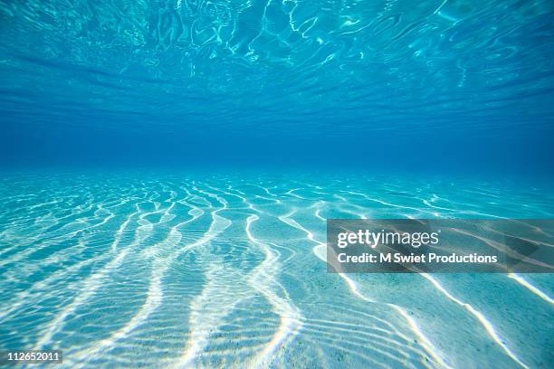 underwater ripple pattern - unterwasseraufnahme stock-fotos und bilder