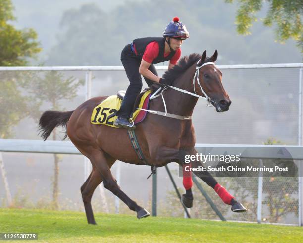 Gallop on the turf at Sha Tin. 06NOV14