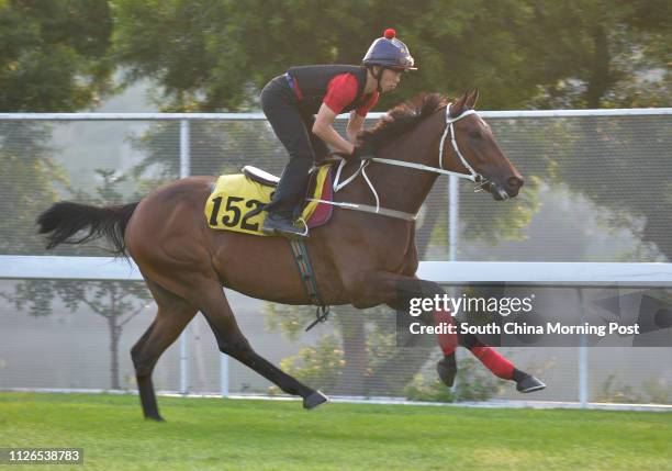 Gallop on the turf at Sha Tin. 06NOV14