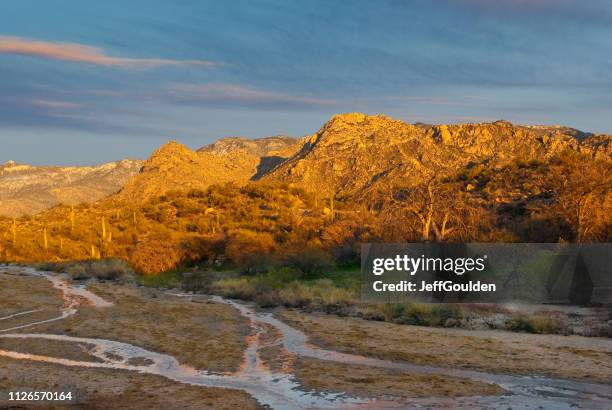 the santa catalina mountains at sunset - state park stock pictures, royalty-free photos & images